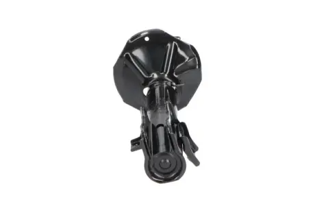 Передній амортизатор (стойка) Kavo parts SSA8513