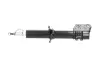 Передний амортизатор (стойка) kavo parts SSA8533