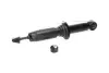 Передний амортизатор (стойка) kavo parts SSA9008
