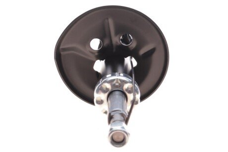 Передний амортизатор (стойка) kavo parts SSA9010