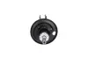 Передній амортизатор (стойка) Kavo parts SSA9013 (фото 3)