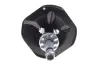 Передній амортизатор (стойка) Kavo parts SSA-9030 (фото 4)