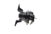 Подушка (опора) двигуна Kavo parts EEM5566 (фото 5)