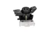 Подушка (опора) двигуна Kavo parts EEM9379 (фото 4)