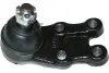 Подушка (опора) двигуна Kavo parts SBJ3021 (фото 2)