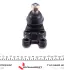 Подушка (опора) двигуна Kavo parts SBJ3021 (фото 3)