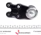 Подушка (опора) двигуна Kavo parts SBJ3021 (фото 5)