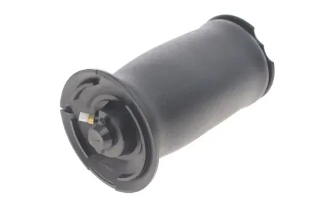 Подушка пневмопідвіски Kavo parts SAS-10005