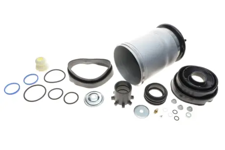 Подушка (опора) двигуна Kavo parts SAS10033