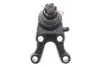 Подушка (опора) двигуна Kavo parts SBJ-5506 (фото 5)