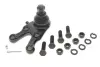 Подушка (опора) двигуна Kavo parts SBJ-5507 (фото 1)
