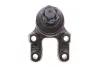 Кульова опора Kavo parts SBJ6502 (фото 4)