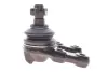 Кульова опора Kavo parts SBJ6502 (фото 5)