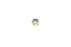 Задний амортизатор (стойка) kavo parts SSA-10386