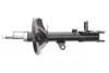 Задний амортизатор (стойка) kavo parts SSA3012