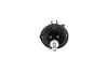 Задній амортизатор (стойка) Kavo parts SSA-3020 (фото 3)