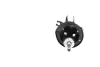 Задний амортизатор (стойка) kavo parts SSA-4512