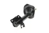 Задний амортизатор (стойка) kavo parts SSA6561