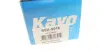 Задній амортизатор (стойка) Kavo parts SSA9016 (фото 7)