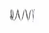 Пружина передня Kayaba RD3138 (фото 1)