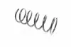 Пружина передня Kayaba RD3140 (фото 3)