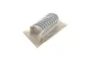 Подшипник скольжения CS STD KING CS 543AM