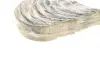 Подшипник скольжения HL STD KING MB5444AM (фото 5)