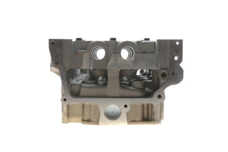 Головка блока kolbenschmidt (KS) 50003175