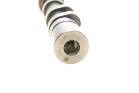 Розподільчий вал kolbenschmidt (KS) 50007019