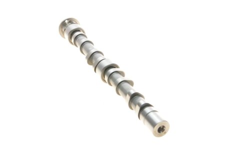 Розподільчий вал kolbenschmidt (KS) 50007019