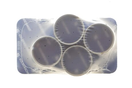 Втулка шатуна kolbenschmidt (KS) 87355693