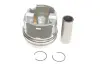 Поршень VAG 81.01 AXD/AXE/BAC/BLJ/BLK (CYL 1-2) (пр-во KS) Kolbenschmidt (KS) 41091600 (фото 1)