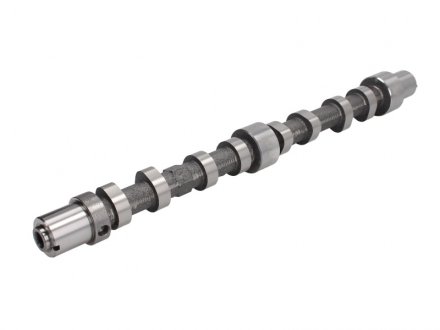 Розподільчий вал kolbenschmidt (KS) 50007031