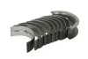 Вкладыши коренные FIAT STD 2,3JTD F1AE0481C (пр-во KS) kolbenschmidt (KS) 77977600