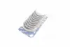 Вкладыши коренные RENAULT 1.7/1.8/1.9D F9Q/F3P/F3R/F4R/F5R/F8M/F8Q 98- БЕЗ ЗАМКА (пр-во KS) kolbenschmidt (KS) 77753620
