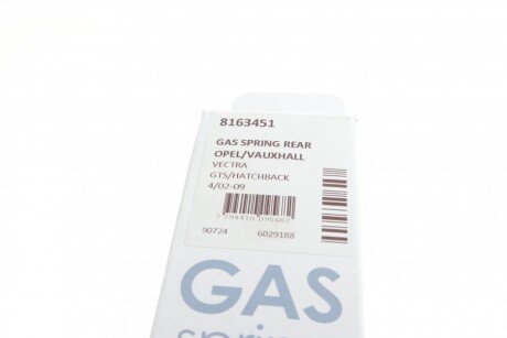 Амортизатор багажника lesjofors 8163451