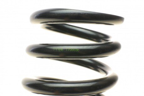 Задня пружина lesjofors 4256810