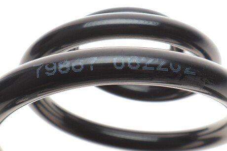 Пружина задняя lesjofors 5208403