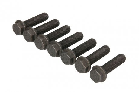 Болти маховика luk 411017011