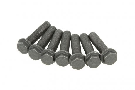 Болти маховика luk 411018610