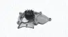 MAGNETI MARELLI VW Помпа води Audi A1/3/4/5/6/7, Q3/5/7, Golf VII, Passat, Tiguan, Touran, Skoda Kodiaq, Octavia III, SuperB III 1.8/2.0TSI Magneti Marelli 352316171362 (фото 1)