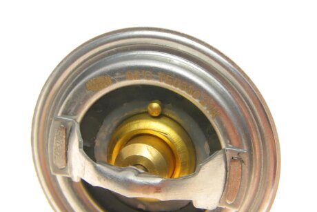 Термостат magneti Marelli 352317003300