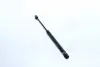 Амортизатор багажника AUDI 8 (пр-во кор.код. GS0274) magneti marelli 430719027400