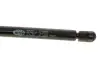 Амортизатор багажника magneti marelli 430719024000