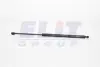Амортизатор багажника magneti marelli GS0684