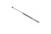 Амортизатор капота MERCEDES-BENZ (пр-во кор.код. GS0569) magneti marelli 430719056900