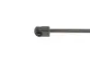 Амортизатор кришки багажника Magneti Marelli 430719006000 (фото 2)