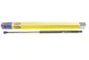 Амортизатор кришки багажника magneti marelli 430719010000