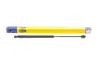 Амортизатор кришки багажника magneti marelli 430719076500