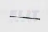 Амортизатори багажника Magneti Marelli GS0260 (фото 1)